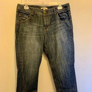 CAbi Denim Boyfriend stretch Jeans (size 6)